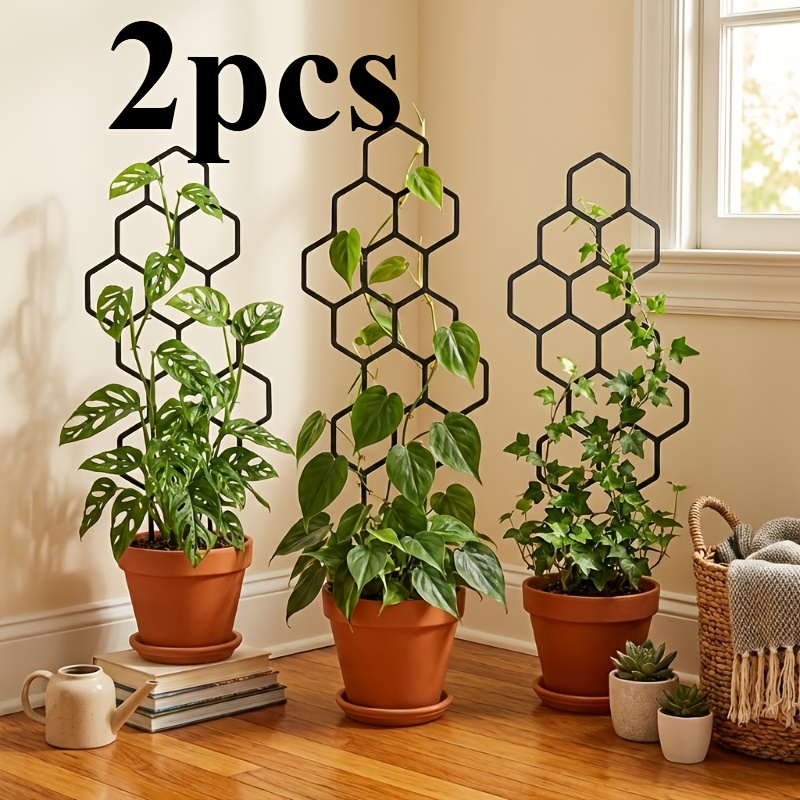 Vine Climbing Plastic - 두 개의 덩굴식물 훈련 장치, 덩굴식물과