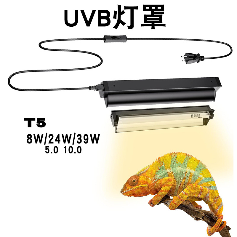 Calcium Powder Reptile - T5 UVB 튜브와 일체형 고정 장치가