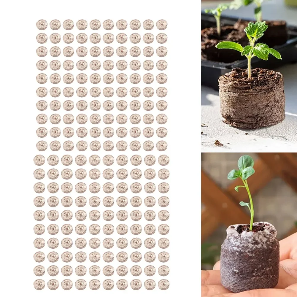 100개 압축 코코 코이어 펠릿, 자연 코코넛 섬유 배 - Substrate Coconut Fiber 리뷰 및 가격